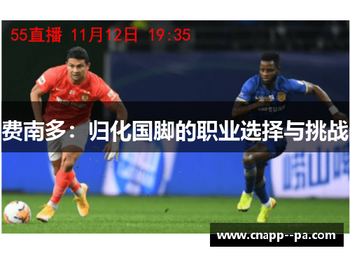 费南多：归化国脚的职业选择与挑战