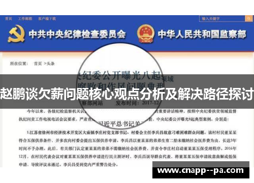 赵鹏谈欠薪问题核心观点分析及解决路径探讨