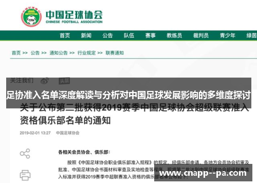 足协准入名单深度解读与分析对中国足球发展影响的多维度探讨