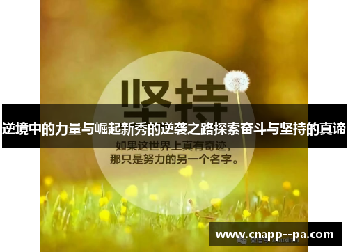 逆境中的力量与崛起新秀的逆袭之路探索奋斗与坚持的真谛