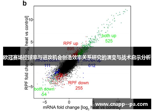 欧冠赛场控球率与进攻机会创造效率关系研究的演变与战术启示分析
