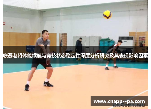 联赛老将体能续航与竞技状态稳定性深度分析研究及其表现影响因素