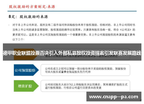 德甲职业联盟投票否决引入外部私募股权投资提案引发联赛发展路线